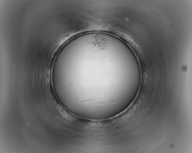 X0000100191220200806131200