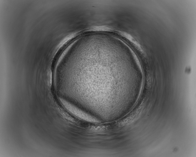 X0000100191221200806131200