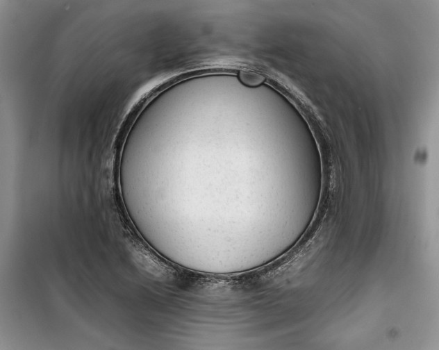 X0000100191222200806131200