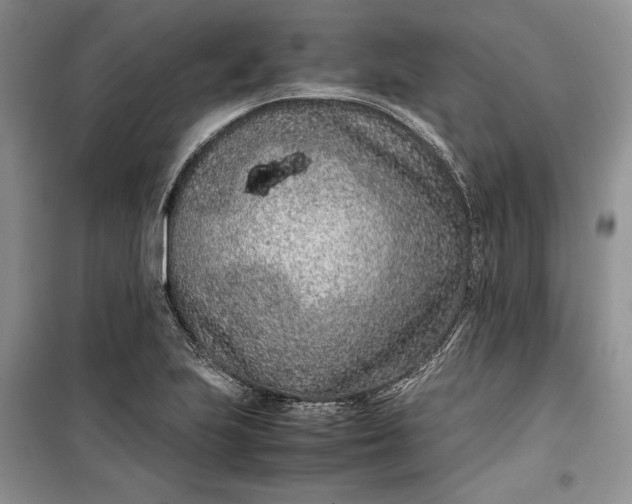 X0000100191223200806131200