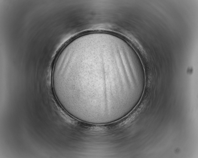 X0000100191224200806131200