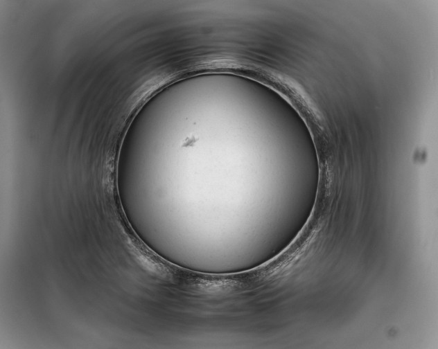 X0000100191225200806131200