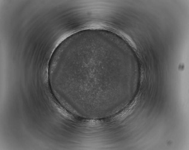 X0000100191226200806131200