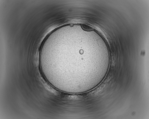 X0000100191227200806131200