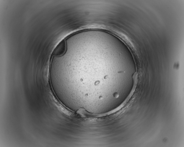 X0000100191228200806131200