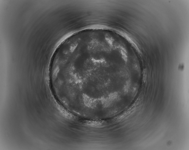 X0000100191229200806131200