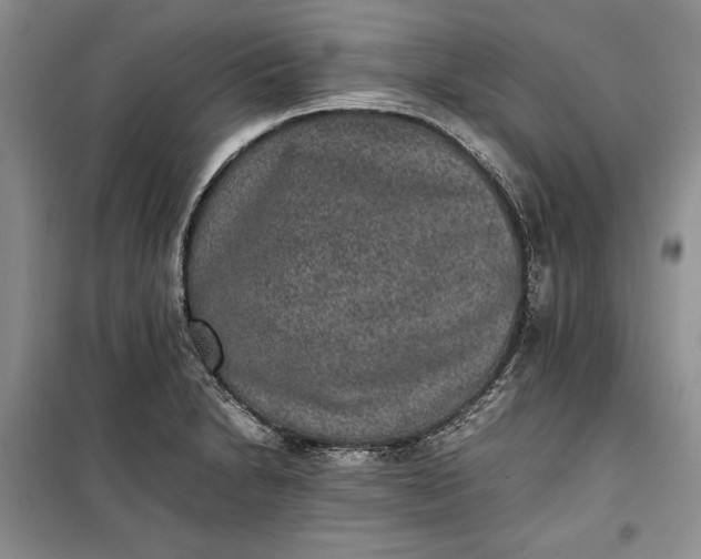 X0000100191230200806131200