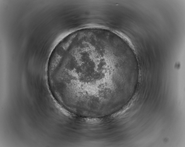 X0000100191231200806131200