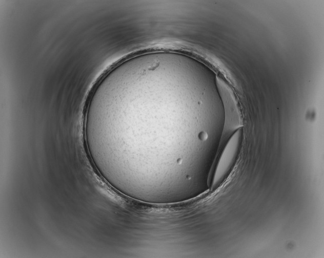 X0000100191232200806131200