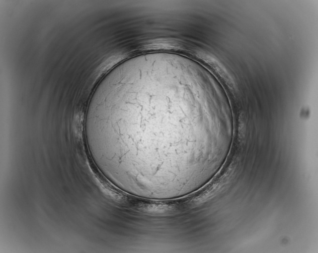 X0000100191233200806131200