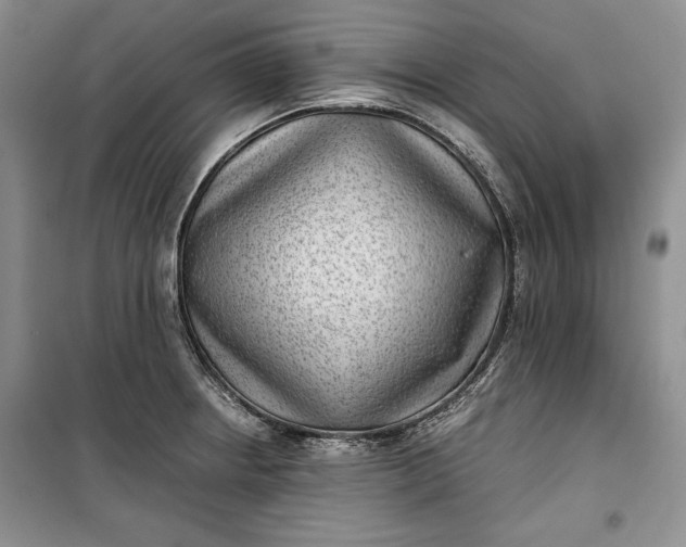 X0000100191234200806131200