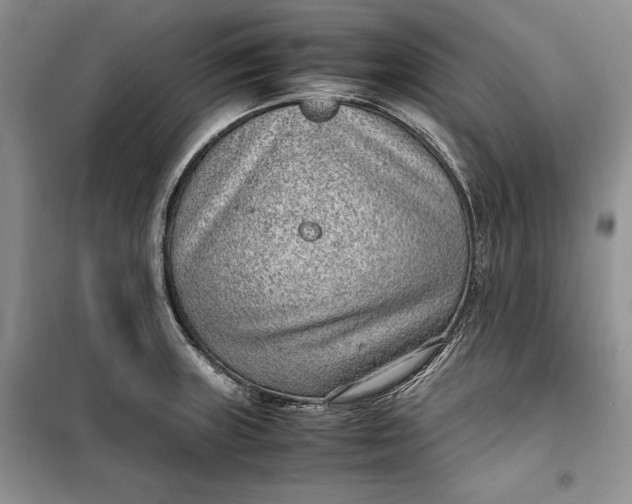 X0000100191235200806131200