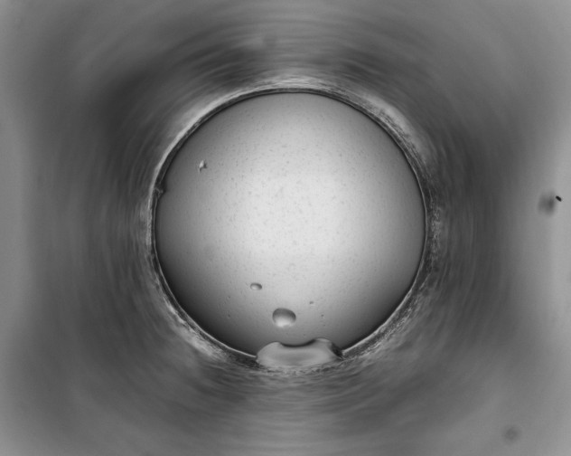 X0000100191236200806131200