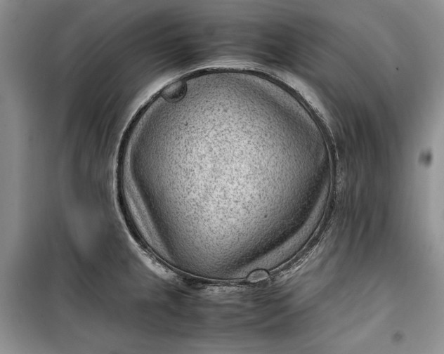 X0000100191237200806131200