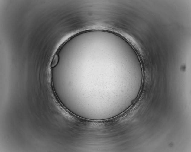 X0000100191238200806131200