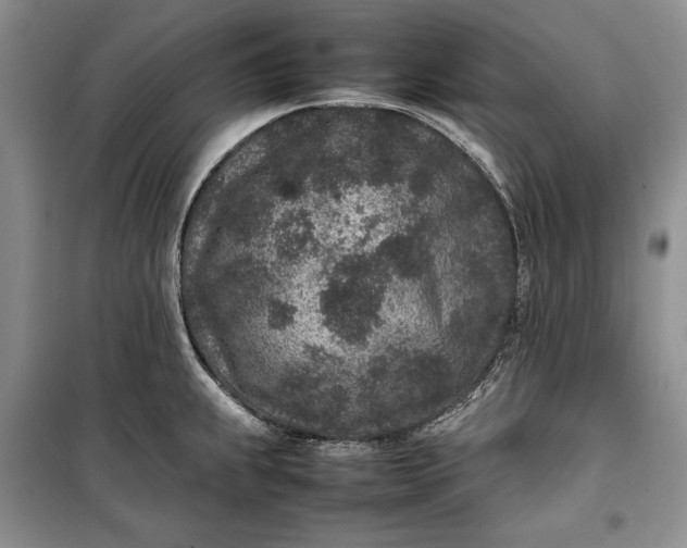 X0000100191239200806131200