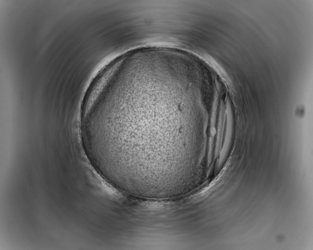 X0000100191240200806131200