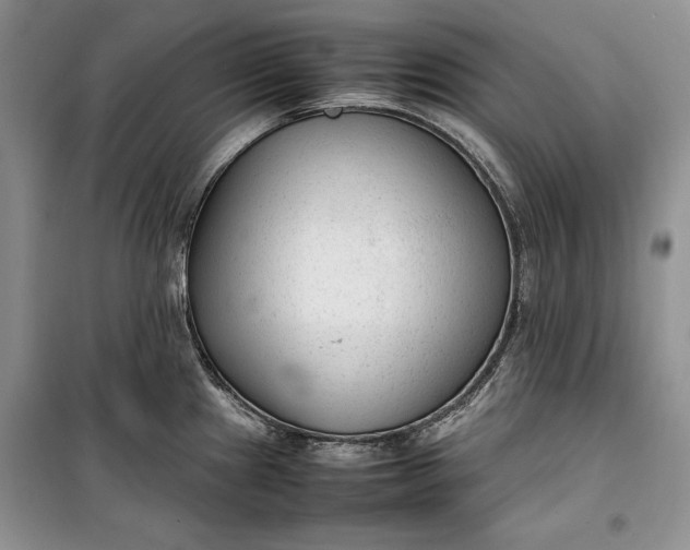 X0000100191241200806131200