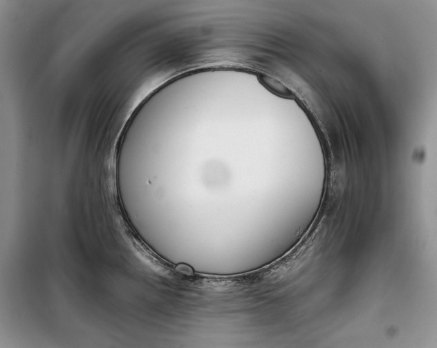 X0000100191242200806131200