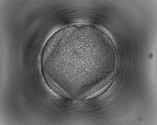 X0000100191243200806131200