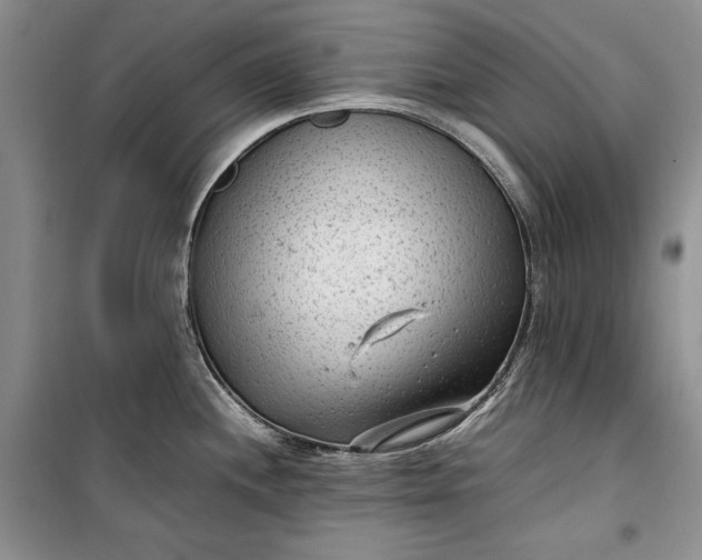 X0000100191244200806131200