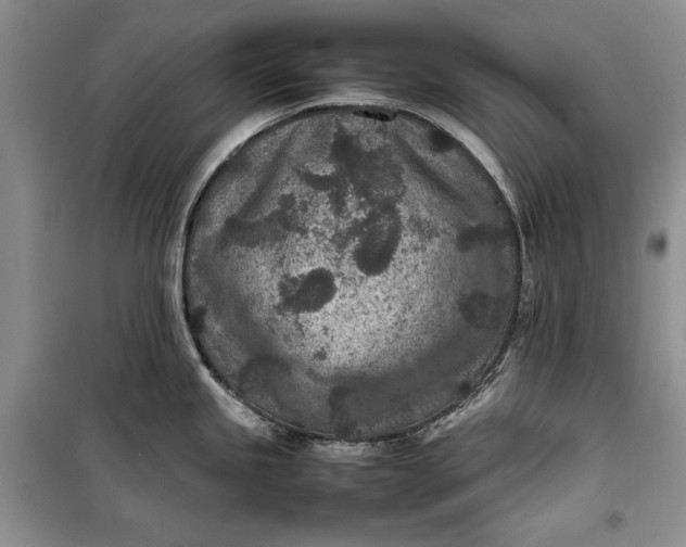 X0000100191245200806131200