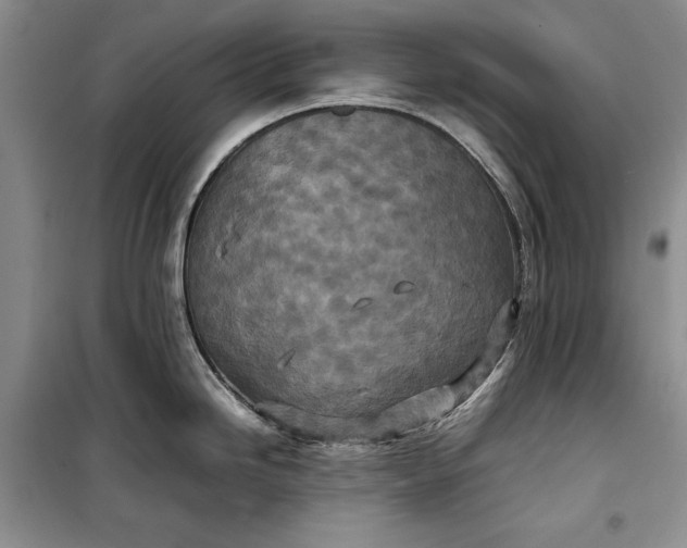 X0000100191246200806131200