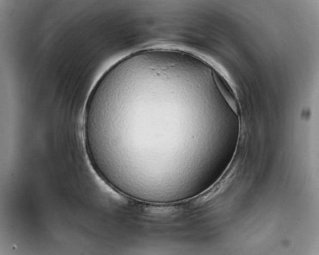 X0000100191247200806131200