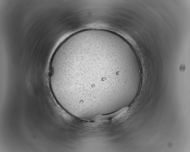 X0000100191248200806131200