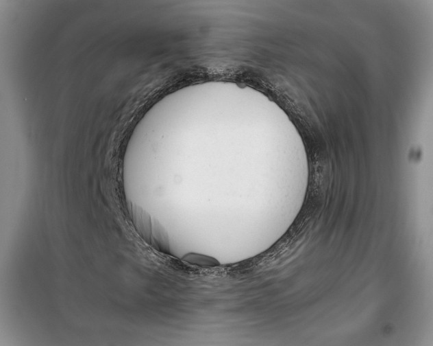 X0000100191249200806131200