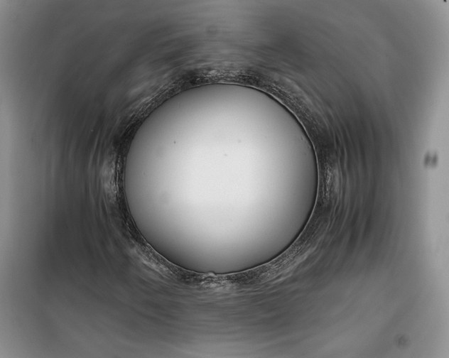 X0000100191250200806131200