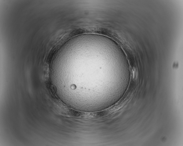 X0000100191251200806131200