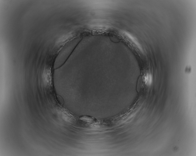 X0000100191252200806131159