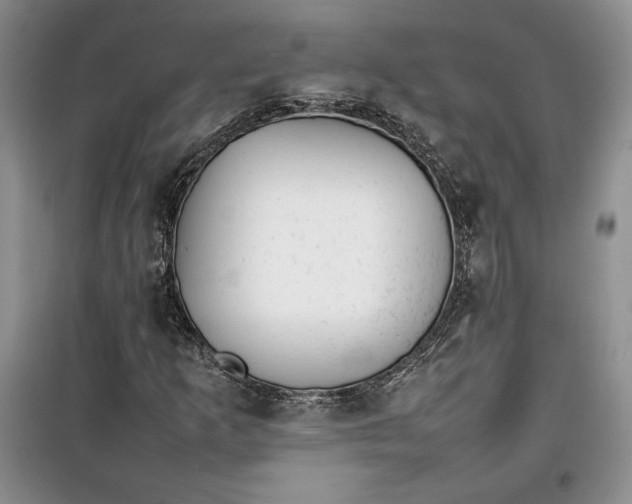 X0000100191253200806131159