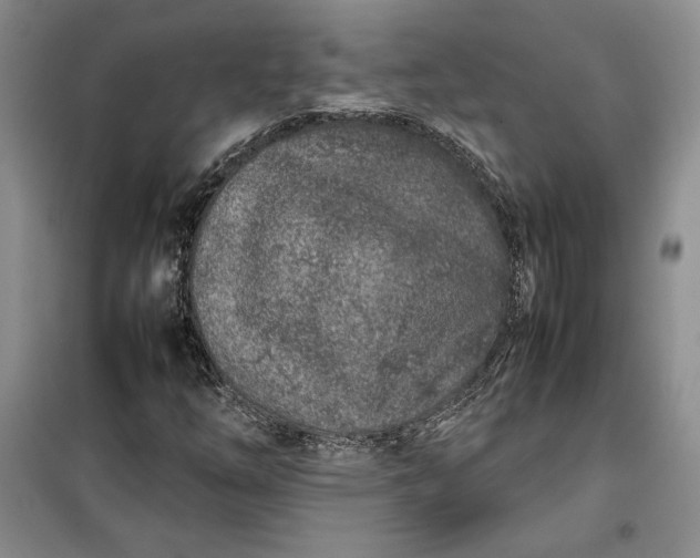 X0000100191254200806131159