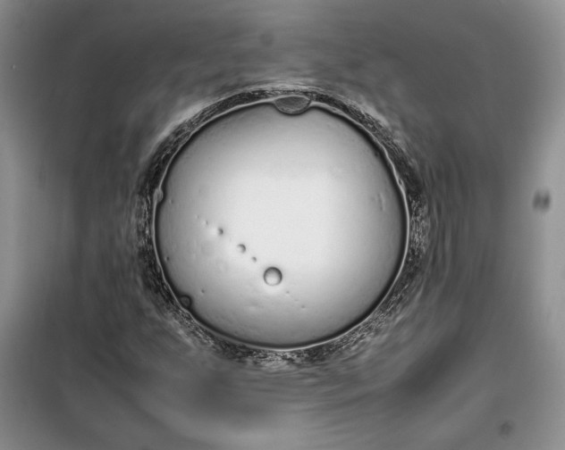 X0000100191255200806131159