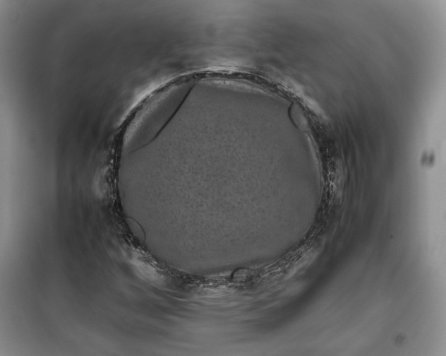 X0000100191256200806131159