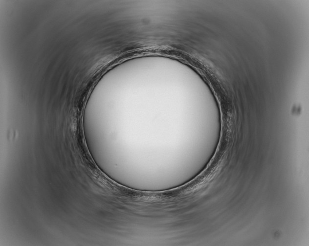 X0000100191257200806131159