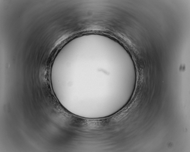 X0000100191258200806131159