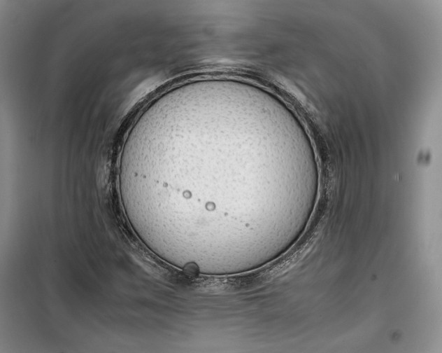 X0000100191259200806131159