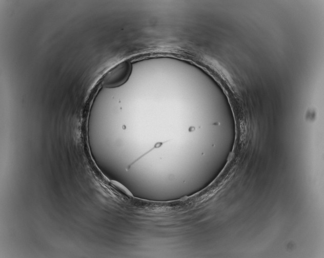 X0000100191260200806131159