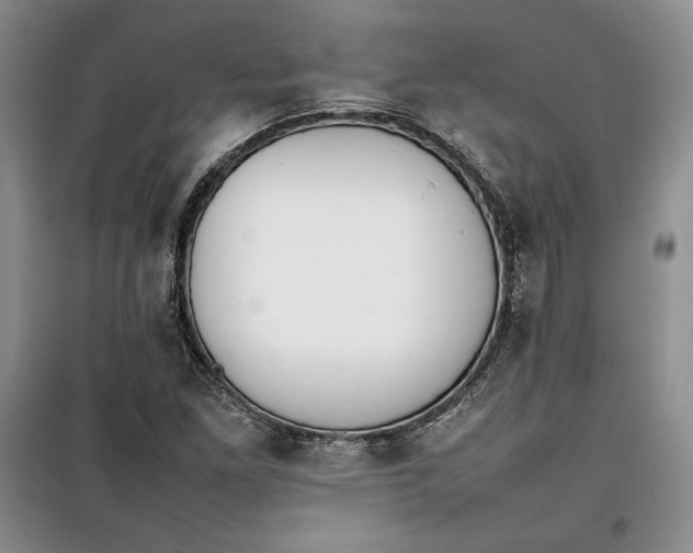 X0000100191261200806131159