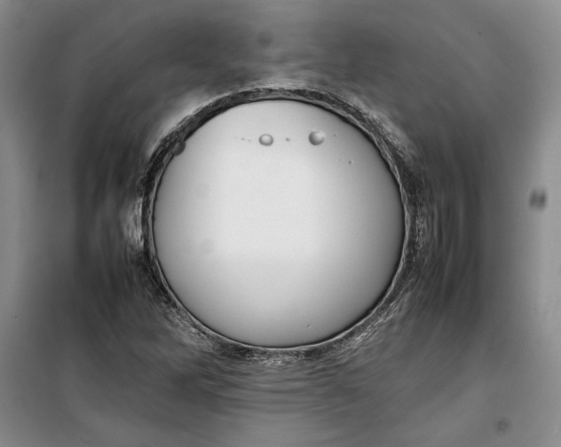 X0000100191262200806131159