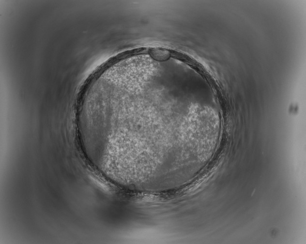 X0000100191263200806131159