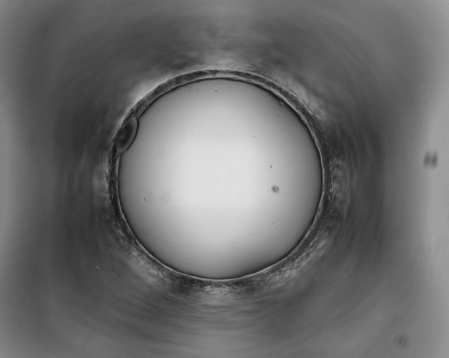 X0000100191264200806131159