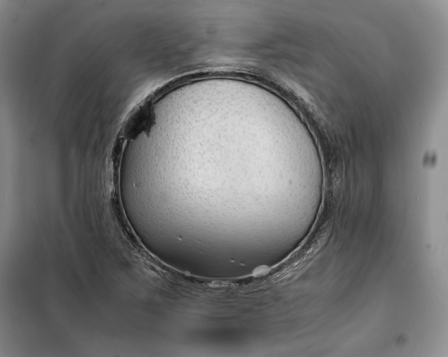 X0000100191267200806131159