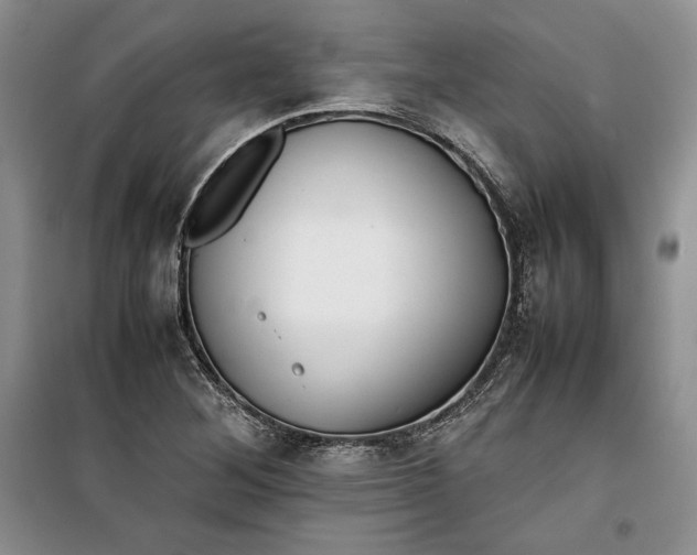 X0000100191268200806131159