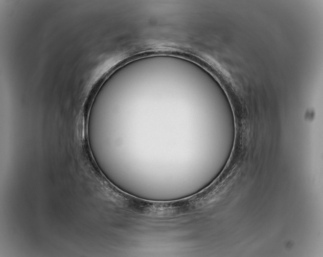 X0000100191269200806131159