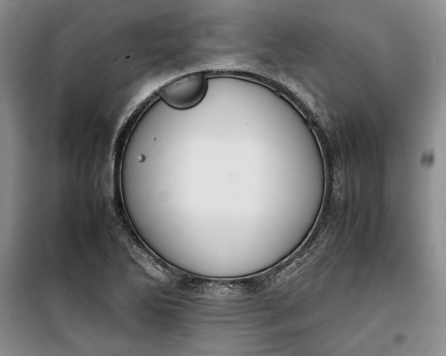 X0000100191270200806131159