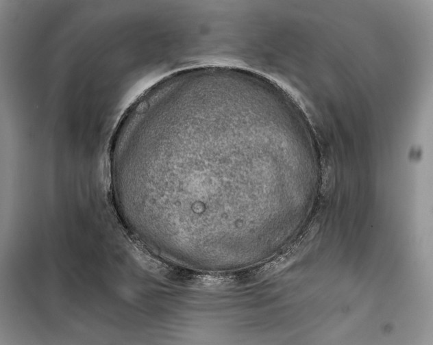 X0000100191271200806131159